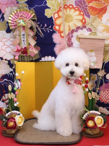 20240114ちくわくん